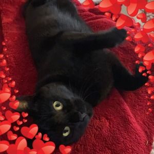 Meet your Posher, Anja